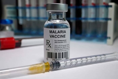 Diario HOY | La OMS recomienda el uso generalizado de la primera vacuna contra la malaria para niños