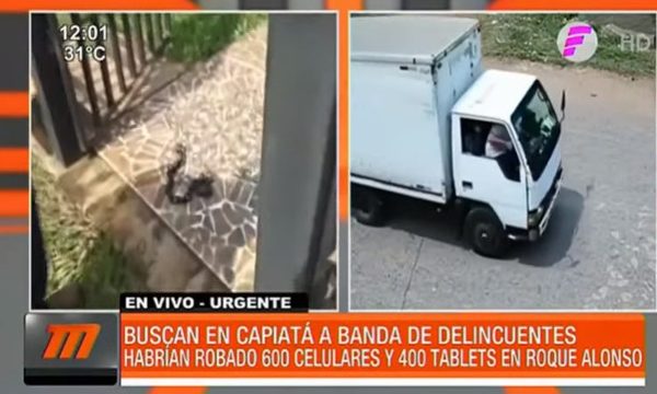 Detienen a cabecilla de banda de delincuentes | Telefuturo