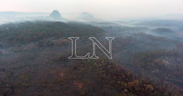 La Nación / Lanzan plataforma “Paraguay sin llamas”, una iniciativa para prevenir incendios