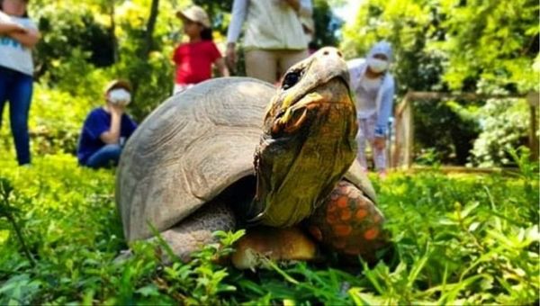 Granja Oñondivemi espera normalización de actividades educativas para operar al 100%