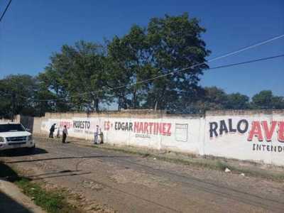 Este jueves finaliza periodo de propaganda electoral para las municipales | Ñanduti