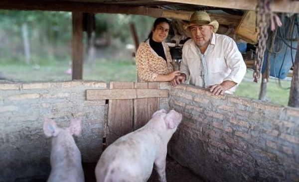 Diario HOY | Triplicar el consumo interno de carne porcina, nueva meta de la cartera ganadera