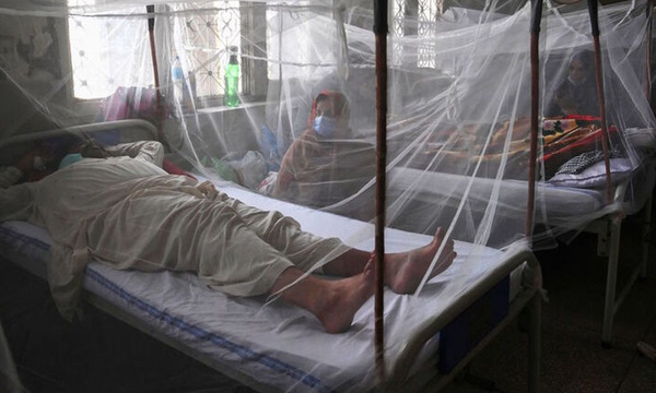 Investigadores desarrollan potente antiviral para prevenir el dengue - OviedoPress