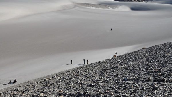 Argentina: Paisajes cuyanos con los Andes de fondo