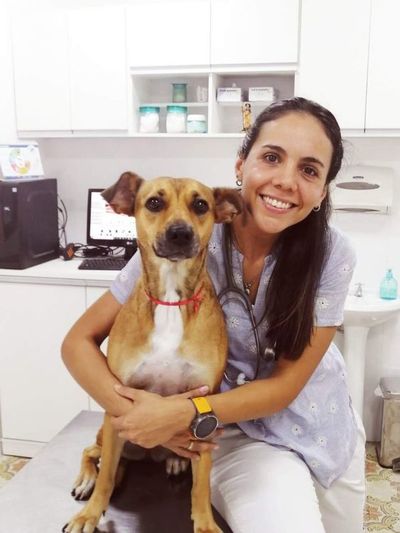 Parvovirosis enfermedad canina que no se contagia a humanos - Mascotas - ABC Color