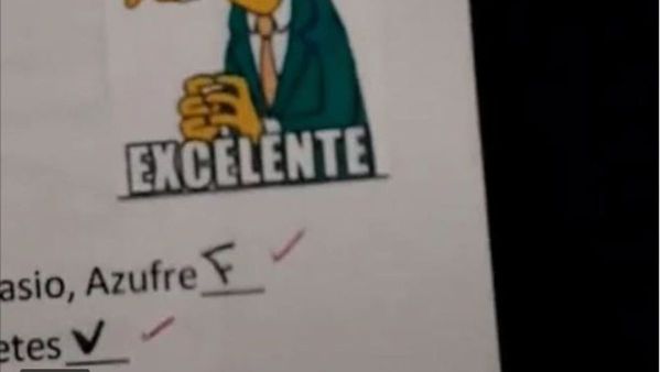 Profe corrigió exámenes con memes y se volvió viral