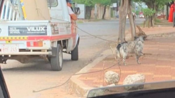 Denuncian a sospechoso de arrastrar con vehículo a un perro