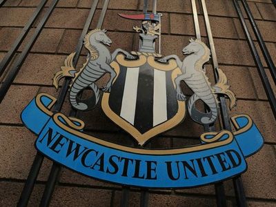 Amnistía Internacional, preocupada por la compra del Newcastle por un fondo  saudita - Fútbol Internacional - ABC Color