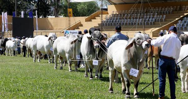 La Nación / Este lunes arranará 8° Congreso Nacional de Ganadería