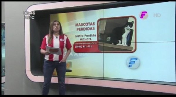 María Teresa busca a “Michota” (video)