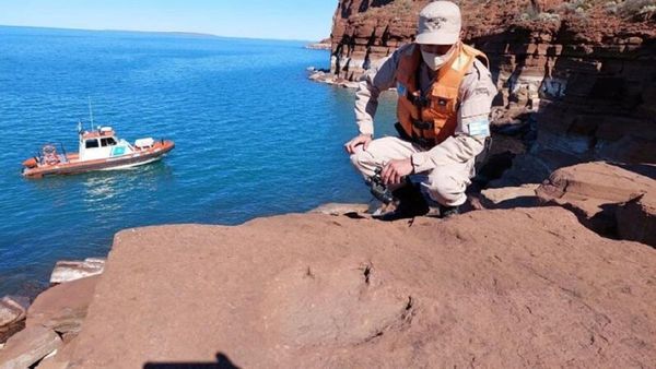 Policía argentina descubre huellas de dinosaurio bípedo
