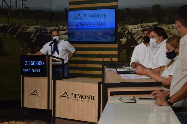 Mañana sábado, Piemonte remata toritos y vaquillas de Oro Verde con plazos especiales
