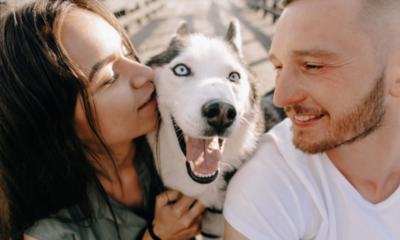 Ley considerará a las mascotas como hijos en caso de divorcio en España