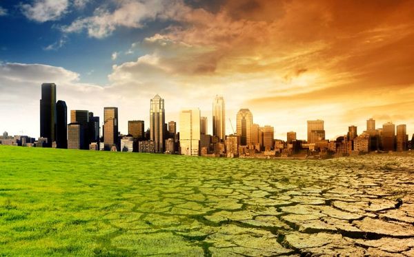 Paraguay asume el firme compromiso de acompañar políticas contra el cambio climático