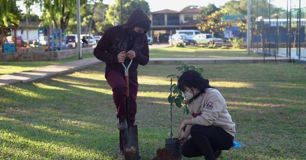 La Nación / Invitan al “delivery de árboles” para apoyar la campaña #SomosH2O
