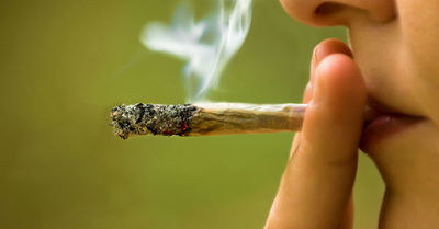 El algoritmo para tu celular que detecta si consumiste marihuana - SNT