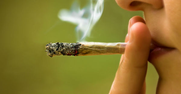 El algoritmo para tu celular que detecta si consumiste marihuana - SNT