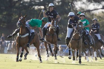 Tradición, campos, caballos y amor: Las claves del éxito - El Independiente