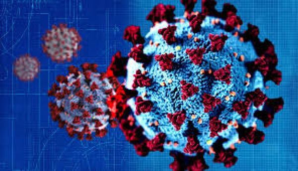 Salud reporta 33 casos nuevos y 1 fallecido por Coronavirus