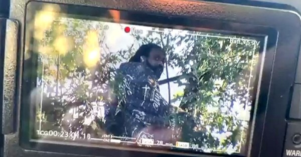 Policía de Nueva York lleva tres días negociando con un hombre para que se baje de un árbol - SNT