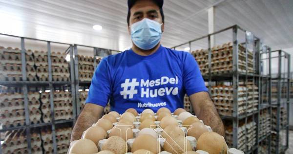 La Nación / Nutrihuevos presentó ayer diversas actividades por el #MesDelHuevo