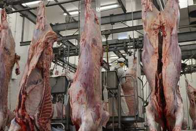 Frigoríficos estiman disminución en los precios de ganado y de los cortes en el corto plazo
