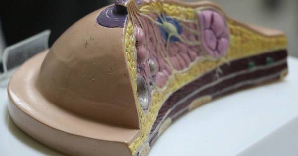 La Nación / Amacma inaugura casa propia conmemorando sus 11 años