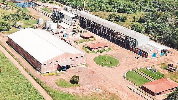 Azúcar orgánica de Arroyos y Esteros llega a 30 países