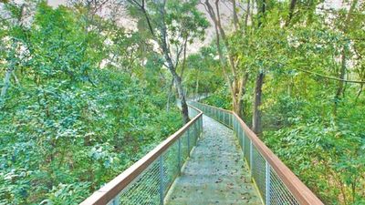 Sendero de altura, nuevo atractivo en   Refugio Biológico de Mbaracayú