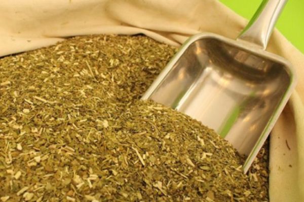 Hoy se celebra el Día Nacional de la Yerba Mate