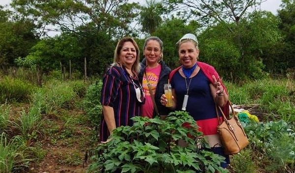 Diario HOY | Fomentar cultivo de plantas medicinales a través del audiovisual