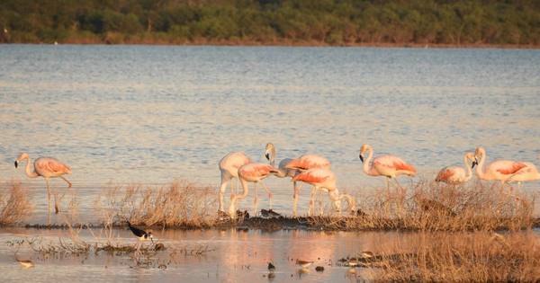 La Nación / CNN en Español destaca al Paraguay como un destino seguro para turistas
