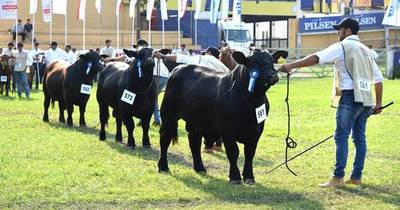 La Nación / Expo Ganadera Guairá estima negocios por 700.000 dólares