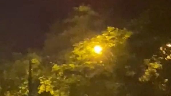 Pérdidas millonarias tras incendio en cooperativa: "Se quemó el 100%"