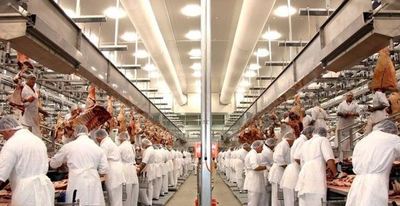 Dos grupos de frigorífico manejan el 70% del mercado ganadero