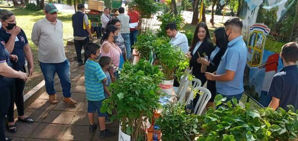 Reparten 2.000 plantines de especies nativas, frutales y exóticas - ABC en el Este - ABC Color