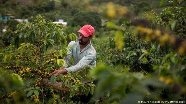 El FMI eleva sus previsiones de crecimiento para Latinoamérica al 6,3% en 2021