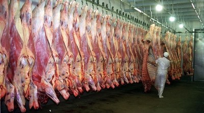 La competencia de los frigoríficos en el mercado ganadero - El Independiente
