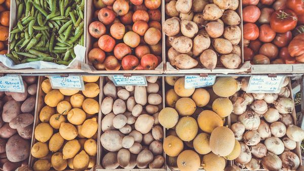 Piden acciones de anticipación para evitar las crisis alimentarias