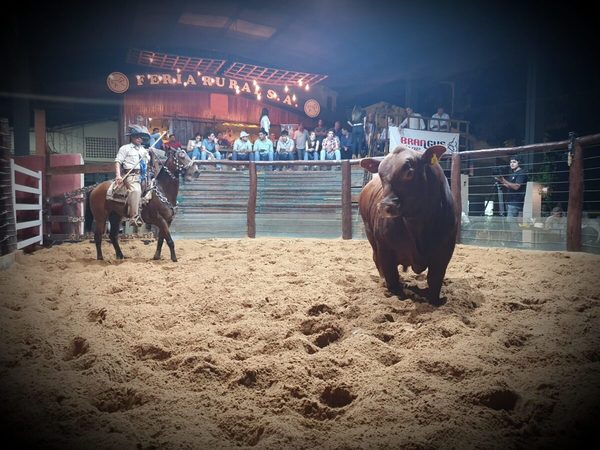 Ferusa vendió 106 Brangus colorados de Ganadera Santa Cecilia por Gs. 1.443 millones