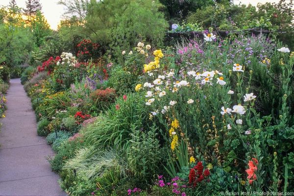 La anécdota del marketing del jardinero