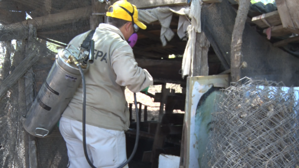 Realizan tarea de detección de chagas casa por casa en barrios de Filadelfia