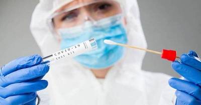 La Nación / Martes sin fallecidos por coronavirus en Paraguay