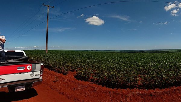 ONU acusa a Paraguay por violar derechos de los guaraníes con fumigación de tierras