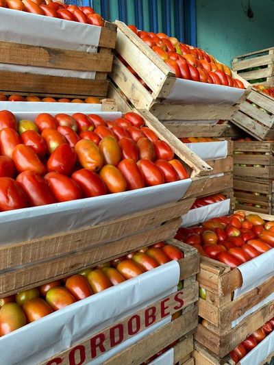 Otro aumentazo más: tomate subirá nuevamente y podría llegar a G. 20.000 por kilo - Nacionales - ABC Color