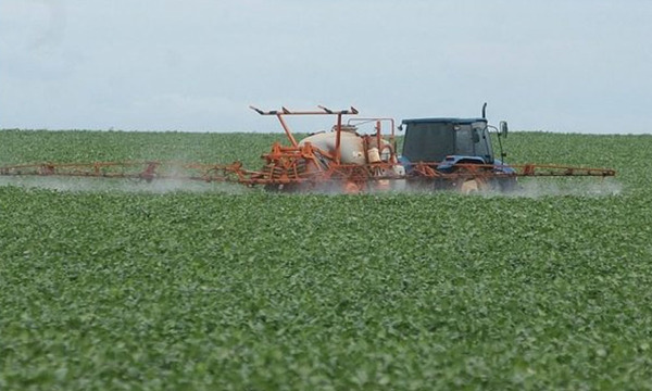 Acusan a Paraguay por violar derechos de los guaraníes con fumigación de tierras - OviedoPress