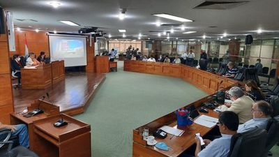 #Nenechopapers: Aprueban interpelación a intendente asunceno Cesar Ojeda - Nacionales - ABC Color