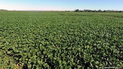 ONU acusa a Paraguay de violar el derecho de pueblos indígenas, al no prevenir contaminación - Megacadena — Últimas Noticias de Paraguay