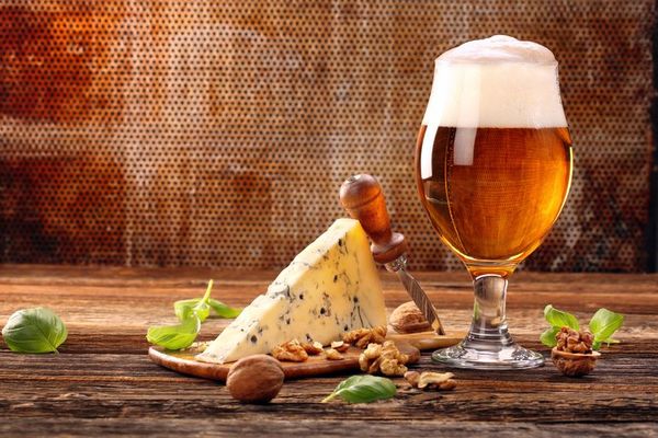 En Europa ya se bebía cerveza y comía queso azul hace 2.700 años - Ciencia - ABC Color