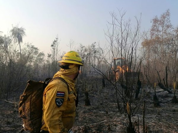 Campaña “Me prendo a prevenir” para concientizar a la población en la prevención de incendios forestales - .::Agencia IP::.
